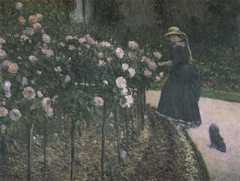 Gustave Caillebotte Some Rose in the garden